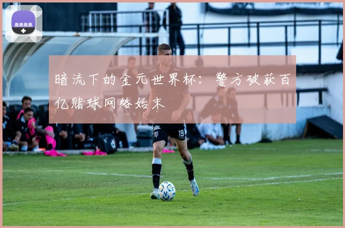 暗流下的金元世界杯：警方破获百亿赌球网络始末