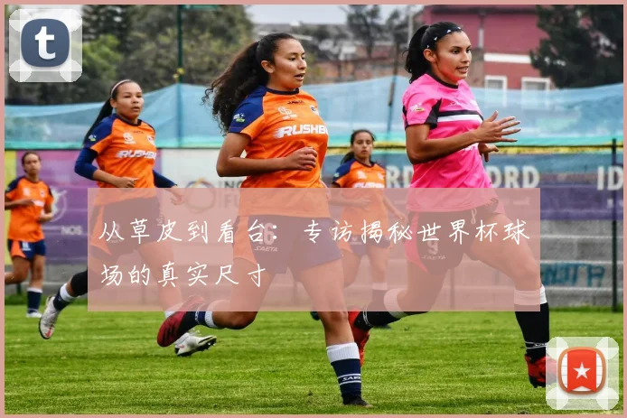 从草皮到看台：专访揭秘世界杯球场的真实尺寸